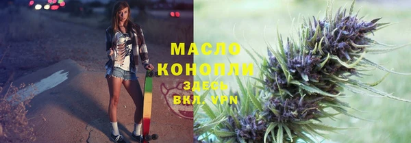 гидра Волоколамск