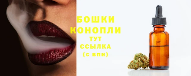 гидра Волоколамск