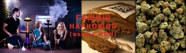 гидра Волоколамск