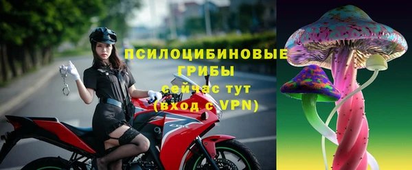 гидра Волоколамск
