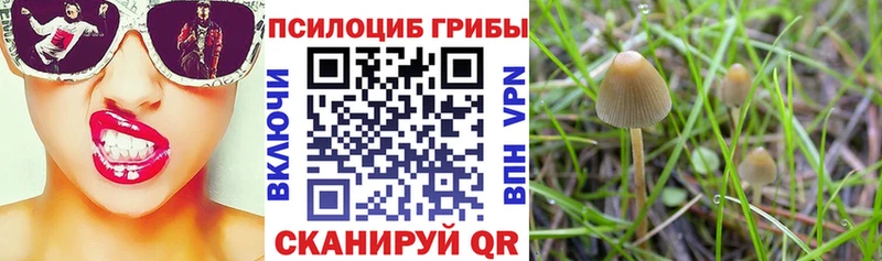 Псилоцибиновые грибы прущие грибы  где можно купить   Ивдель 
